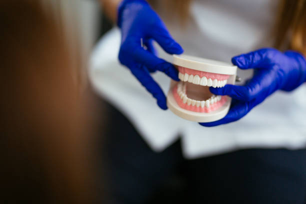 Best Preventive Dentistry  in Plymouth, IN